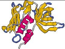 Syndrom toxického šoku Staphylococcus aureus může vzácně produkovat také toxin zvaný TSST-1 (toxin syndromu toxického šoku) Také tento toxin je superantigenem