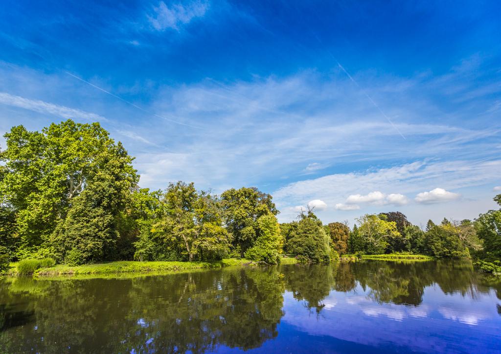 ResortLednice 0,75 l Rulandské modré, pozdní sběr 2013, /ve vůni ovocné tóny částečně po čerstvých švestkách, chuť jemná, v dochuti po kompotu ze švestek/ Obsah alkoholu: 12% Obsah zbytkového cukru: