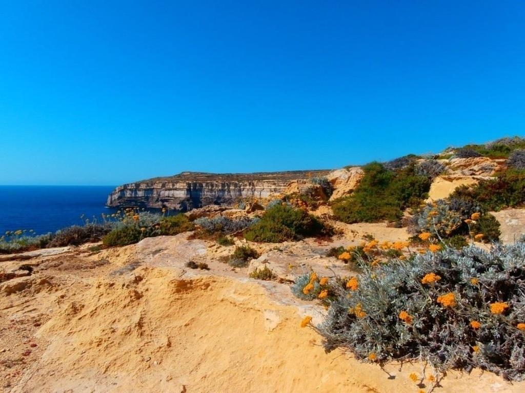 PROČ MALTA? Naše destinace si obvykle vybíráme z nějakého důvodu. Jaká může být motivace k vaší cestě na Maltu?