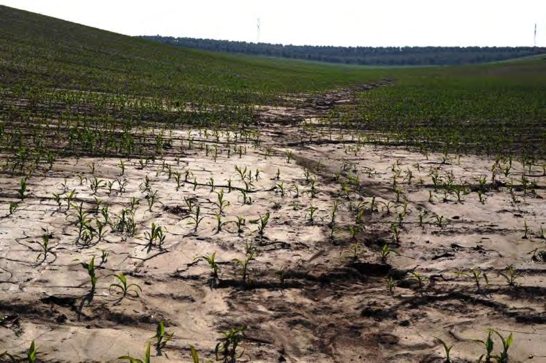 GAEC (Standardy dobrého zemědělského a environmentálního stavu) GAEC 1 Svahy nad 7 o ponecháno strniště nebo zůstane zoráno do 30.11. GAEC 2 Vyloučení širokořádkových plodin na SEO plochách.