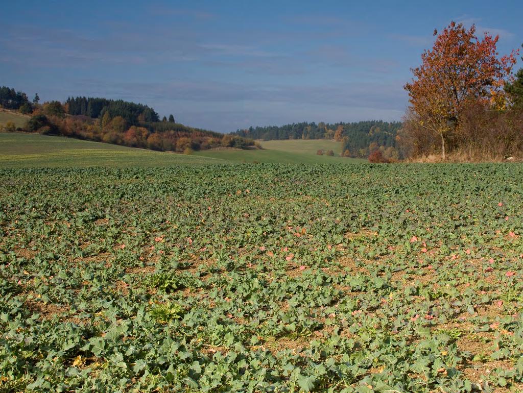 Děkuji za