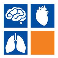 Microcirculation Diagnostics and Applied Studies Močový katetr