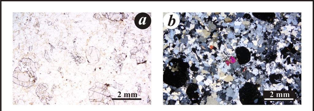 5.1. Petrografická charakteristika studovaných hornin 5.1.1. Felsické granulity Jedná se o drobné až středně jemnozrnné horniny.