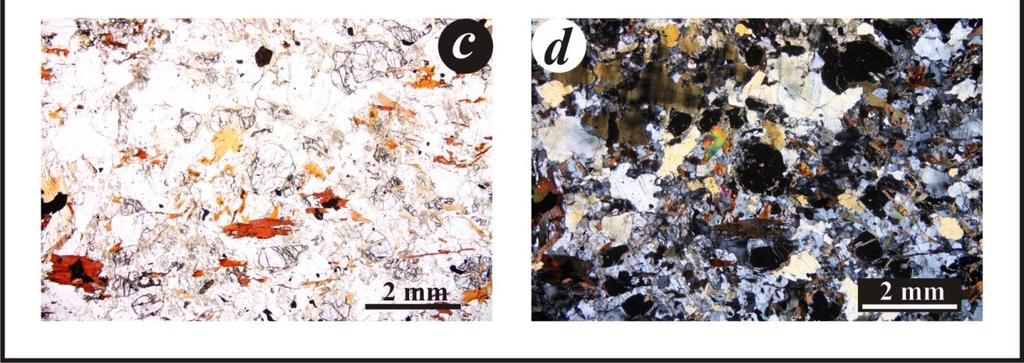 Granát tvoří až 1,5 mm velká zrna (obr. 5a, b), která obsahují inkluze křemene, živce, kyanitu, rutilu a zřídka fengitu. U většiny fengitů dochází po okrajích zrn k jejich biotitizaci (obr. 5c).