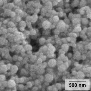 Nanočástice stříbra GENOTOXICITA Obdobně jako nanočástice zlata se liší od své konvenční formy také nanočástice stříbra.