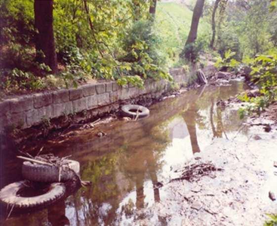 ha o Délka revitalizovaného náhonu 1,1 km o Počet