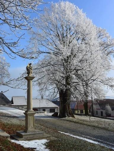 A vánoční lípa ještě jednou pod dohledem Jana Nepomuckého 28