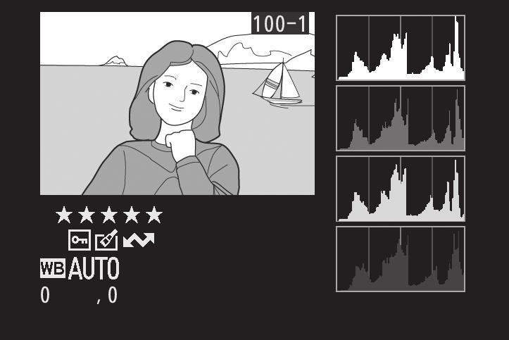 RGB histogram 5 1 Histogram (kanál RGB). Ve všech histogramech značí horizontální osa jas pixelů a vertikální osa počty pixelů pro jednotlivé hodnoty jasu.