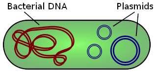 znalostí + literatura biologická sít