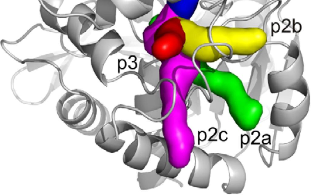 biochemie