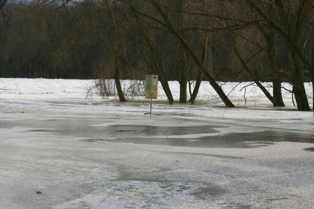 jejich dynamické účinky mohou způsobovat velké škody - pokud