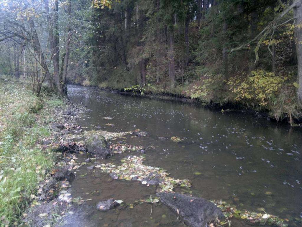 Obr. 4: Hamerský potok