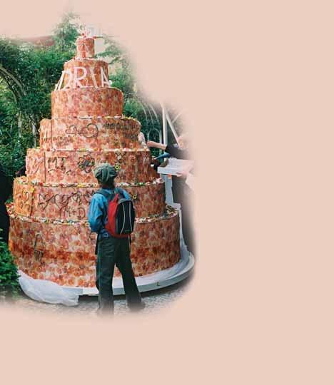 g a s t r o n o m i e Tým cukrářů a kuchařů hotelu Adria překonal dva roky starý rekord a vytvořil nejvyšší dort v České republice. Měřil 306 cm a měl sedm pater. Stalo se tak 31. 5.