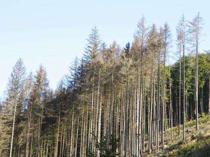 Ošetření rodenticidy bylo podle evidence aplikováno na celkové ploše 1 220 ha (v roce 2015 bylo vykázáno cca 1 310 ha).