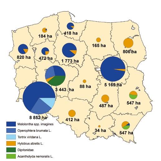 Zpravodaj ochrany lesa svazek 20/2017 Główne problemy ochrony lasu w Polsce w roku 2016 i prognoza na rok 2017 Wojciech Grodzki, Tomasz Jabłoński a kol. Wstęp Lasy w Polsce pokrywają 29,2 proc.