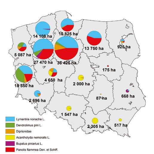 svazek 20/2017 Zpravodaj ochrany lesa nim nie powinno przekroczyć 5 tys. ha,