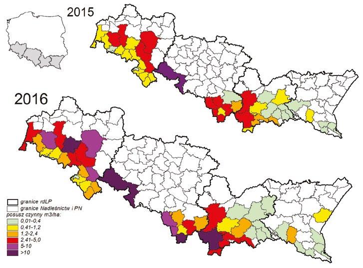 svazek 20/2017 Zpravodaj ochrany lesa Wielkość zagrożenia drzewostanów przez owady kambiofagiczne kształtowana jest przez dwa główne elementy: presję tych owadów (liczebność ich populacji