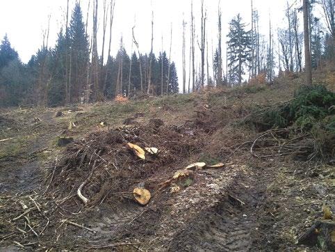 svazek 20/2017 Zpravodaj ochrany lesa Je zřejmé, že v dané klimatické situaci jsou možnosti lesnických hospodářských, ochranných i obranných opatření proti výše uvedeným