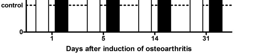 determined by ELISA method. Results (mean values ± S.E.M.) are expressed as stimulation index (OD of monoiodoacetate treated vs. OD of control animals).