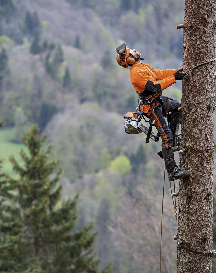 Uživatelsky příjemná a se snadnou údržbou Varianty výbavy STIHL MS 462 C-M STIHL MS 462 Model MS 462 není vybaven systémem M-Tronic. Karburátor motoru lze seřizovat manuálně.