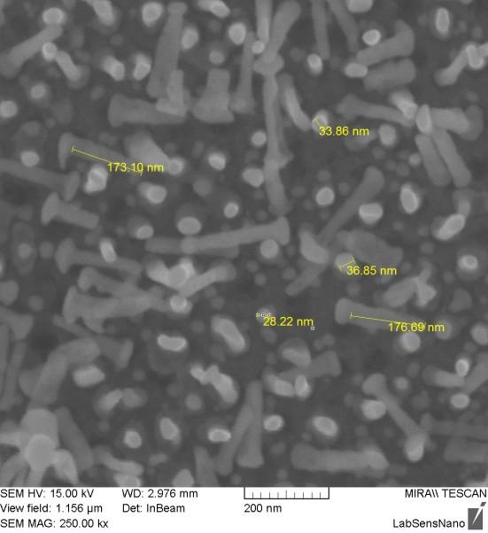 5.4.5 Měření glutationu na zlatých nanoelektrodách Jako příklad potencionální aplikace v biosenzorice můžeme uvést pokročilou modifikaci nanostrukturované elektrody vytvořením a sledováním růstu