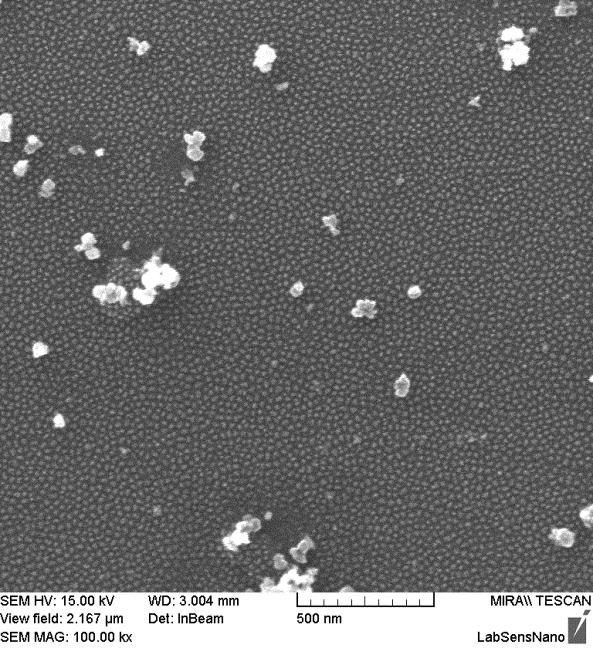 Obr. 5.16 SEM snímek s TiO 2 nanotečkami vyrobenými ve 2 M H 2 SO 4 vlevo, a v 0,3 M (COOH) 2 vpravo. Obr. 5.17 SEM detail TiO 2 nanoteček připravených v 0,2 M H 2 SO 4 při 20 V.