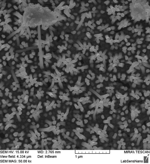 Veškeré vyrobené struktury byly ve formě zárodečných nanoteček, nanotyčinek nebo nanodrátů. V tomto případě byl hlavním parametrem pro srovnání depoziční proud.