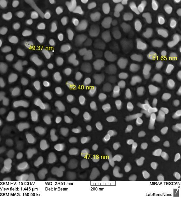 Obr. 5.33 SEM snímky zlatých nanostruktur na W vrstvě po odleptání WO 3 nanoteček deponovaných kontinuální depozicí (vpravo), v detailu rozšířené základny nanotyčinek (vlevo). 5.2.