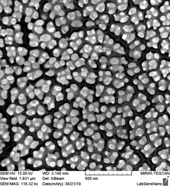 Na základě poznatků z literatury [62; 153; 154] se rovněž předpokládá, že difúzní vrstva na nanostrukturovaném povrchu je tvořena systémem jednotlivých semisférických vrstev kopírujících povrch