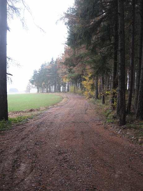 (odbočka ze silnice z Velké Lhoty do Chlen).