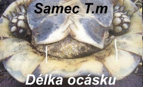 hodně delší drápy na