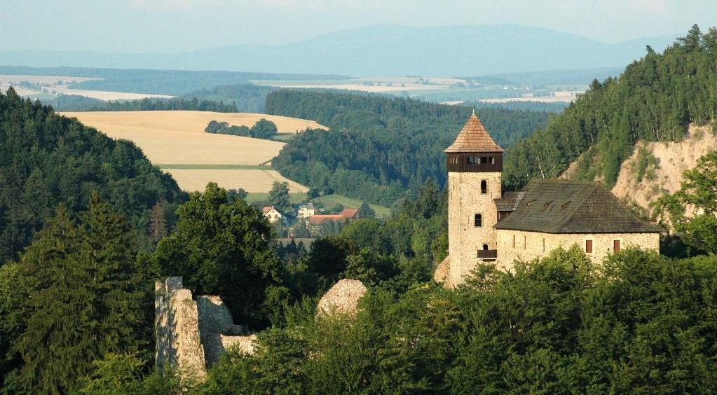 HRADNÍ KOPEC LITICE Obrázek 8-10. Přírodní památka a hrad Litice (Foto: Turistické informační středisko Žamberk, http://www.vychodni-cechy.
