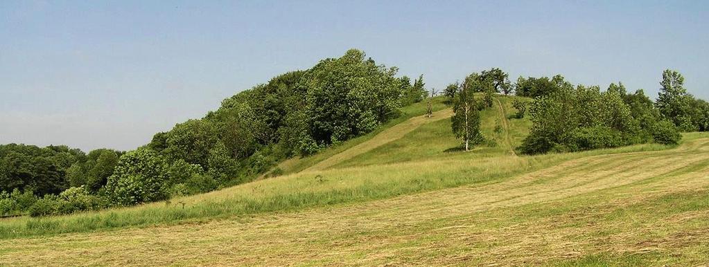 sice dle popisů z minulosti i dříve porostlé dřevinami a keři nicméně v posledních 30ti letech došlo k podstatnějšímu zarůstání.