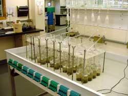 Testy s larvami pakomárů rodu Chironomus OECD 218 Sediment-Water Chironomid Toxicity Test Using Spiked Sediment OECD 219
