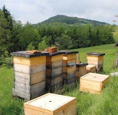 Čistotu a pohodu včelstev, ale také kvalitu medu, jsem podporoval vlastní výrobou mezistěn (obr. 6).