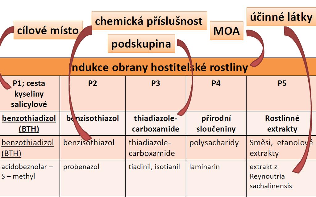 Systém třídění