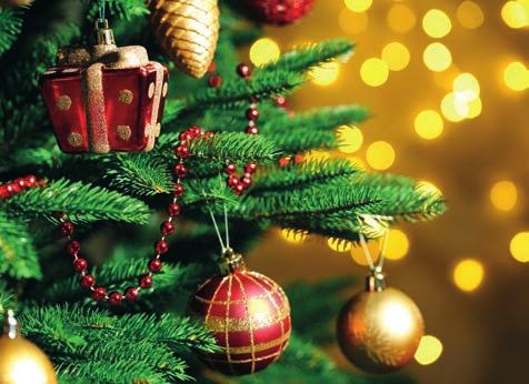 TRADICE VÁNOČNÍHO STROMKU STROMEK, NOVODOBÝ SYMBOL VÁNOC Zdobení stromku jako vánoční obyčej pochází z Německa (nejstarší zmínka je z 16. století), odkud se zvyk v 19.