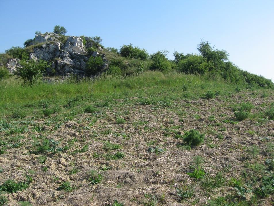 Poloprovozní pokus - Mikulov 6letý pokus Katastr obce