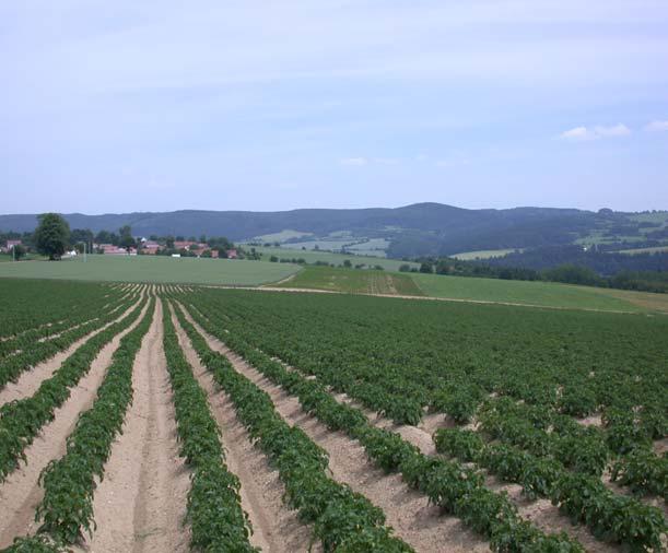 Situační a výhledová zpráva BRAMBORY Další pokles výměry brambor v ČR není žádoucí Sucho snížilo produkci brambor v mnoha státech- Evropy Rozbory SZPI dokazují, že