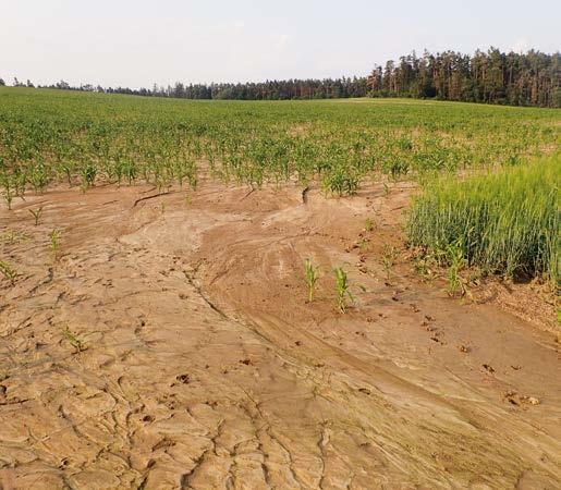 postupů jejich modelování, parametrizací, hodnocením a končí návrhy komplexu opatření v hydrologických celcích.