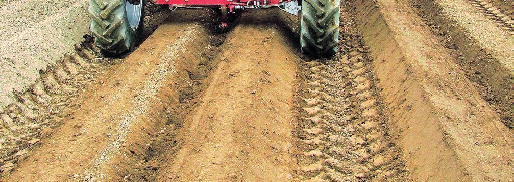 Půdoochranné technologie inovace sázečů brambor rambory jsou v České republice pěstovány většinou na svažitých pozemcích, které jsou ohroženy vodní erozí, a to zejména v období, kdy porost není