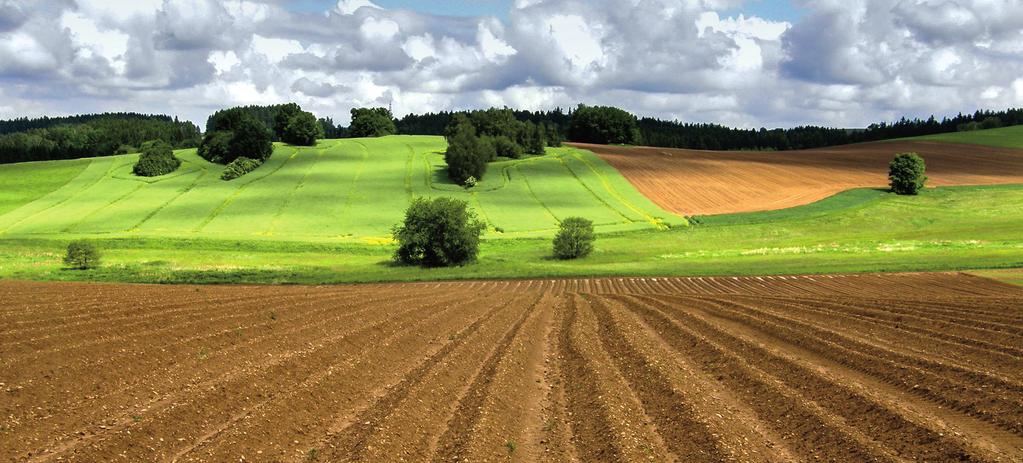 Úvod Pěstování brambor má u nás dlouhou tradici. Podíl pěstování brambor v Českých zemích v bývalém Rakousko-Uhersku byl velmi významný, zejména ve druhé polovině 19.