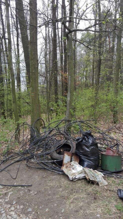 Odpad v lese V poslední době se velkým nešvarem stávají lidmi vytvořené skládky.