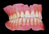 3. Chrup 3.1. Charakteristika a popis zubů Zuby jsou fylogeneticky staré útvary ústní dutiny, které jsou složené z tvrdých tkání.