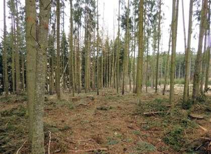 připraveny k převzetí jednotlivými vlastníky lesa. Platnost nových LHO bude od 01.01.2018 do 31.12.2027.