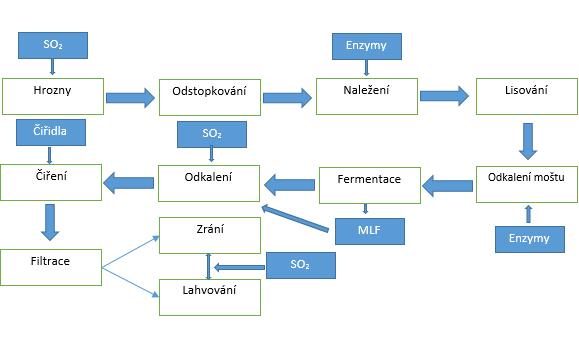 1 Literární přehled 1.1 Technologický postup výroby bílého a červeného vína Nejdůležitějším předpokladem pro výrobu vína je zdravá surovina.