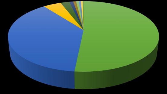 ZAHRANIČNÍ NÁVŠTĚVNÍCI TIC 2q/217 - top 1 Rusko; 11463; 38% Německo; 15558;