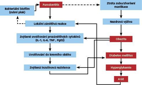 Tabulka č. 2: Souvislost mezi parodontitis, obezitou a diabetes mellitus Zdroj: http://www.stomateam.cz/cz/diabetes-mellitus-a-parodontitida/ [cit. 2. 1. 2014].