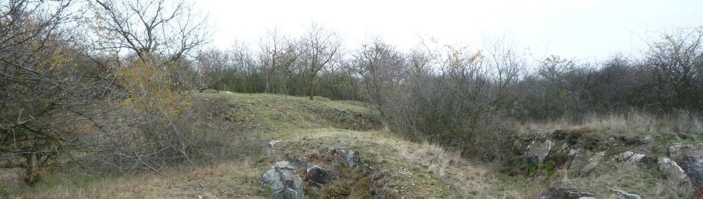 5), severně od přírodní památky Pazderna. Foto M. Štefánek. Fig. 25.