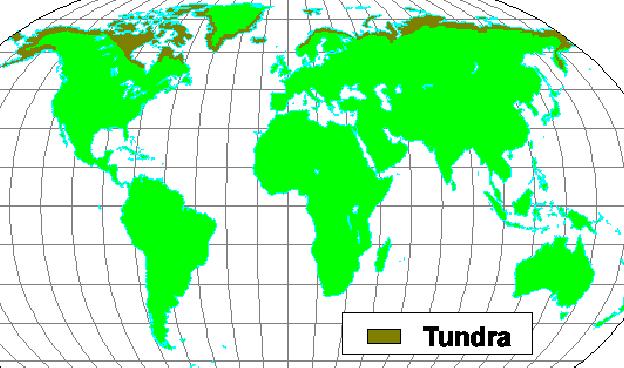 Tundra Klima extrémně krátká vegetační sezóna